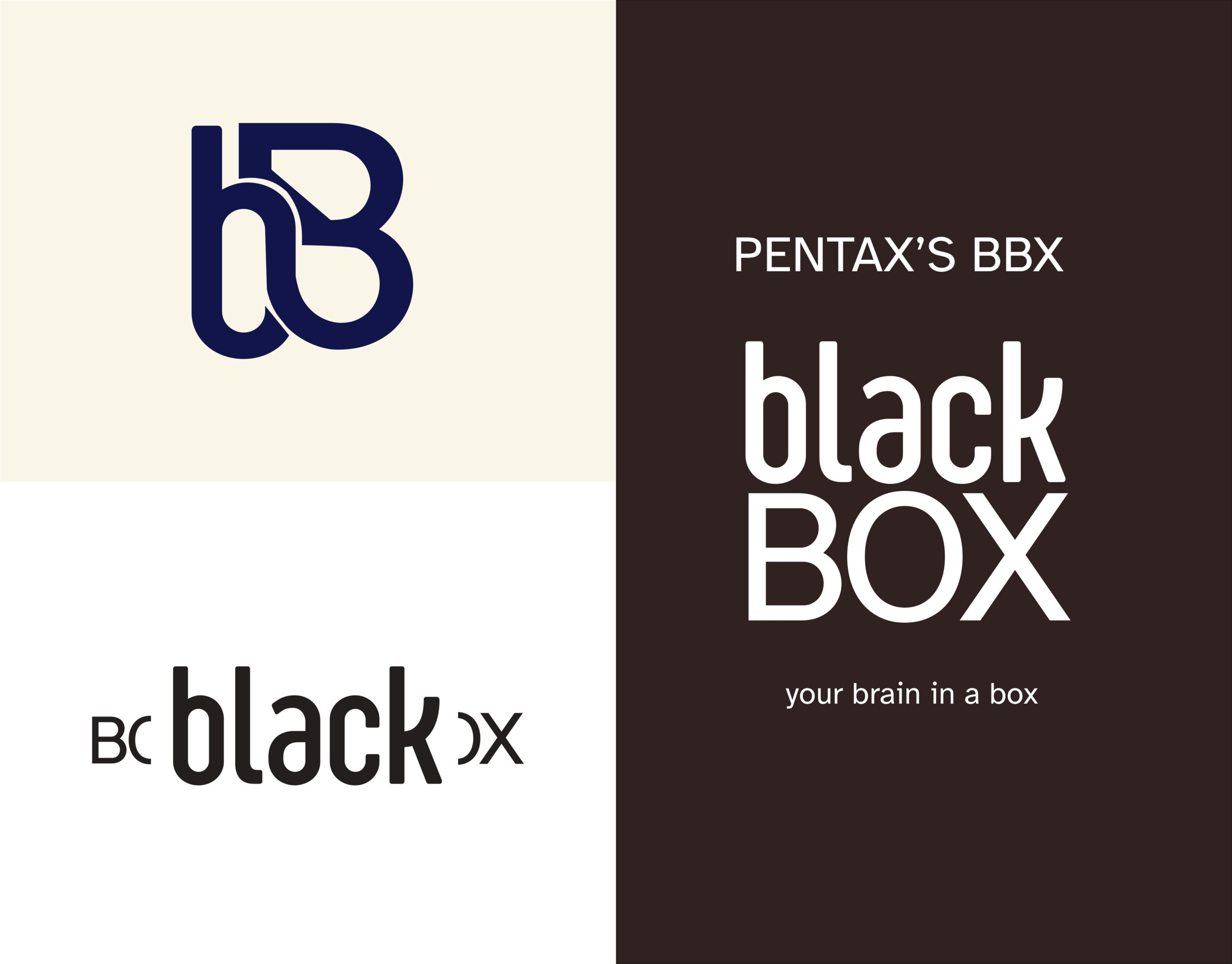 charte graphique black box_page-0004