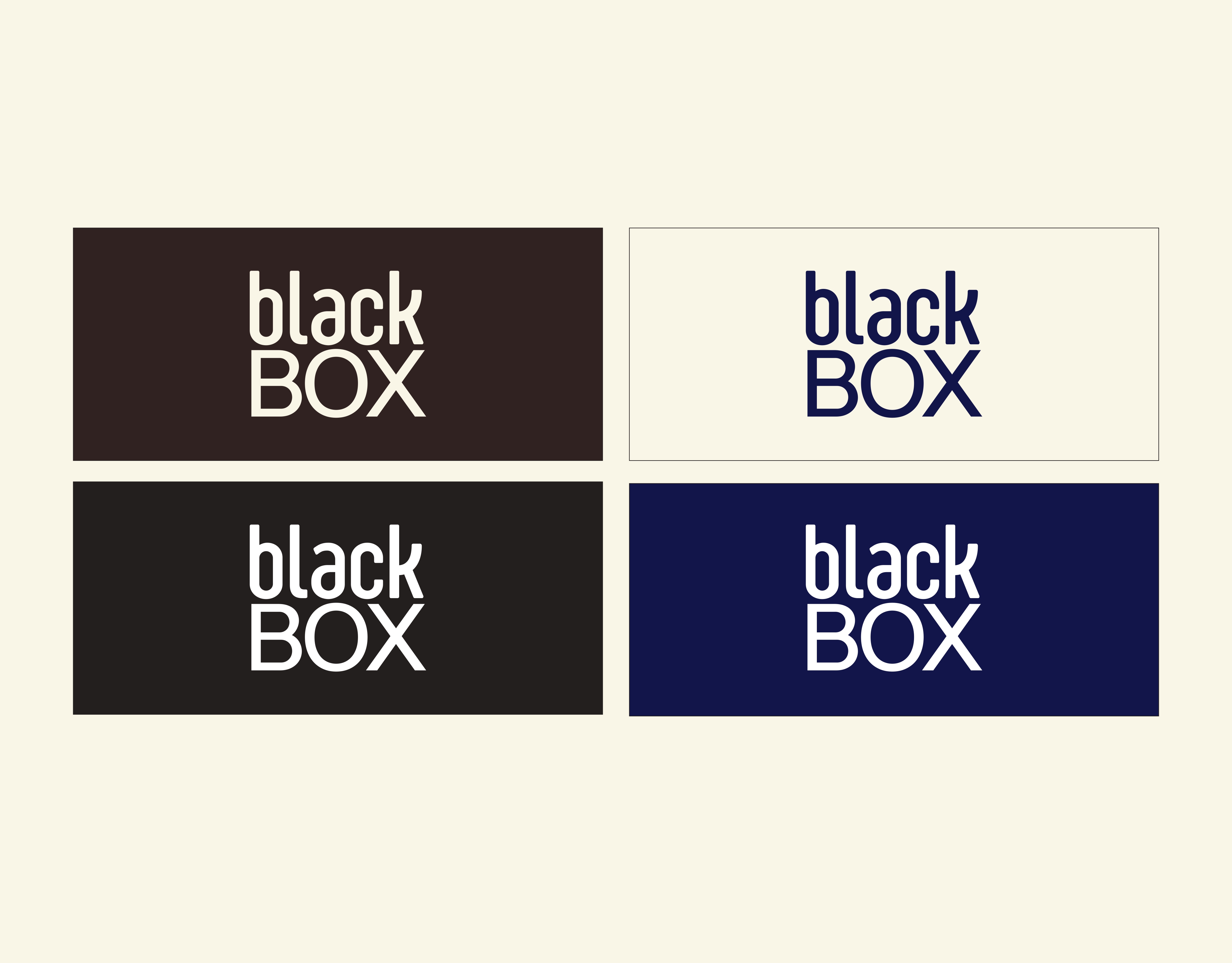 charte graphique black box_page-0006
