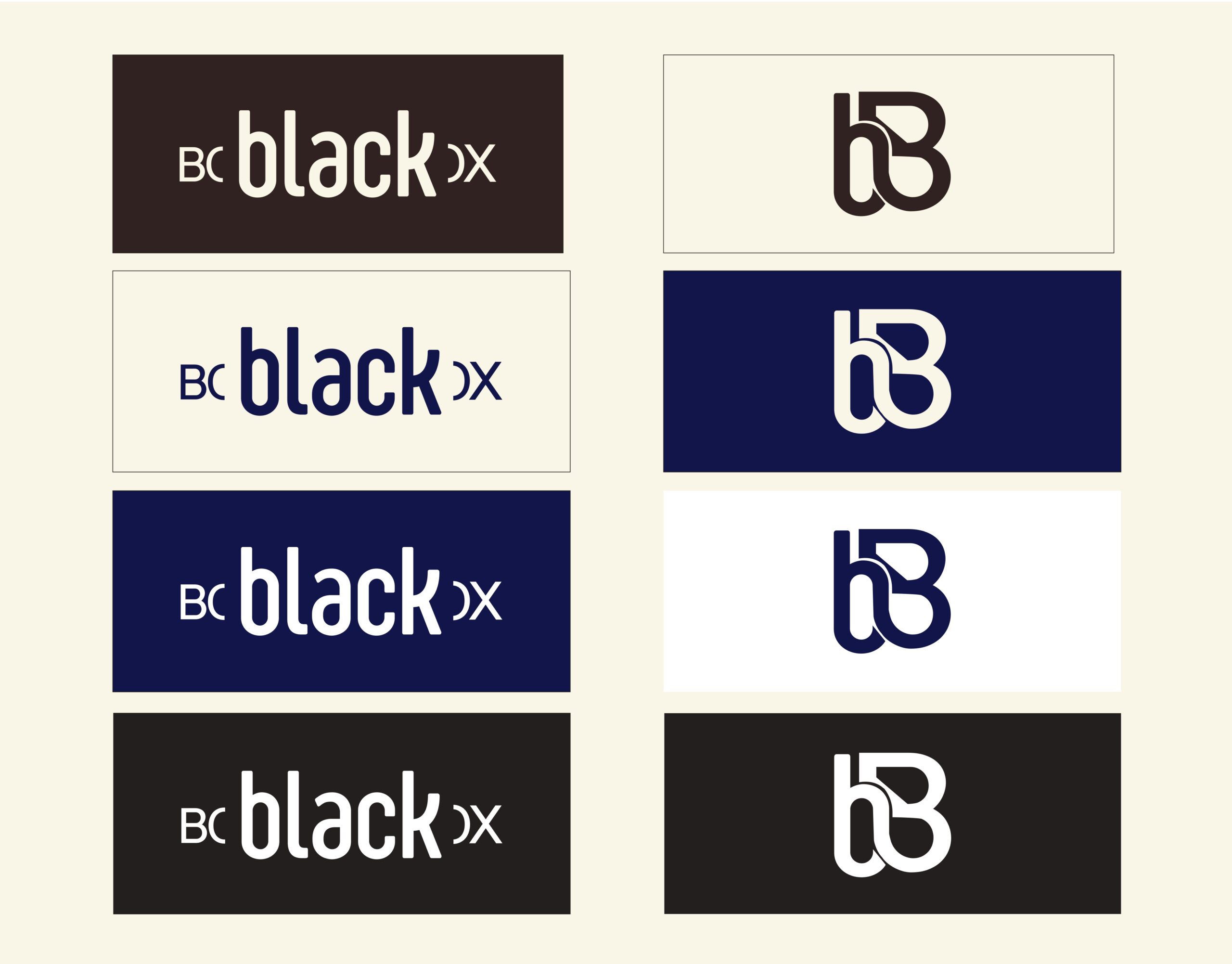 charte graphique black box_page-0008